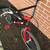 Redline Proline Pro Racing Bike 7 thumbnail