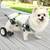 *LetPetRun* Sz2 - Pet Wheelchair,  Adjustable, Lightweight 8 thumbnail