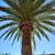 TREE SERVICE & REMOVAL 3 thumbnail