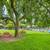 Upgrade your lifestyle: Stunning 2 BR, 907 Sq Ft homes. 5 thumbnail