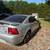 Mustang 2 thumbnail