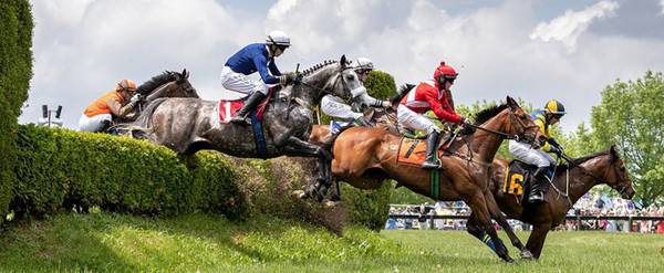 Virginia Gold Cup 2 General Admiss & 1 Parking Pass 1