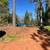 16+ acre mini ranch near lake oroville 2bd 1bath 11 thumbnail