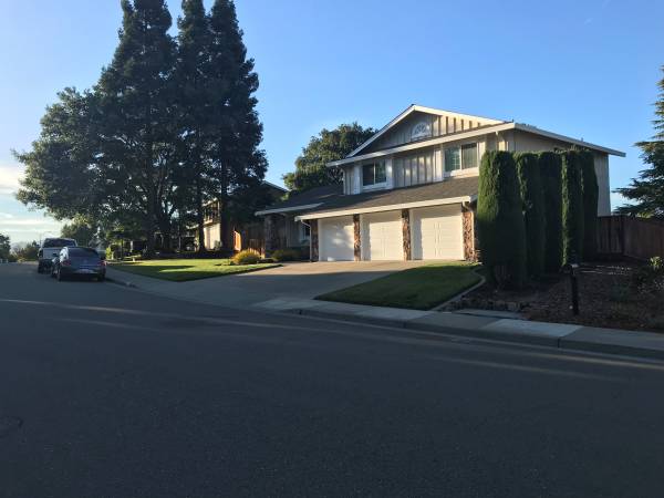 $1,405 Room-s in San Ramon Home (Bollinger Hills) Near Bishop Ranch (danville / san ramon)63847023304321121