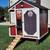 chicken coop 800 2 thumbnail