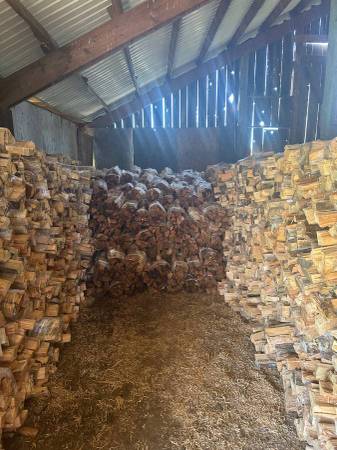Firewood 1