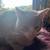 Cat 4 thumbnail