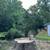 Tree and stump removal 12 thumbnail
