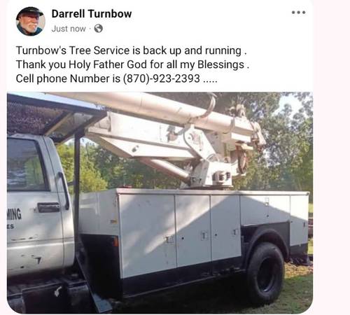 Tree service 1