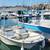 Boston Whaler 16SL 2 thumbnail