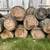 FIRE WOOD (Pine, Ash, Other) - Dried ~1 yr, Ready for splitting 1 thumbnail