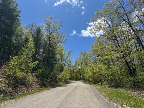 $34,700 / 80150ft2 - Beautiful Wooded 1.8 acre parcel for sale (Gaylord)64037725103619120