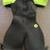 Body Glove  Wet Suit 1 thumbnail