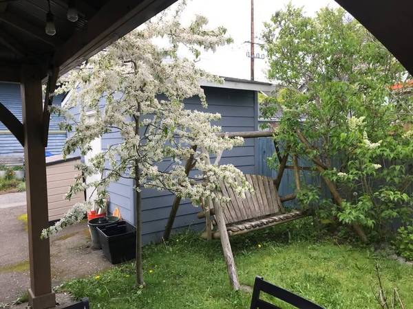 Columpio de madera estilo cabaña al aire libre - $200 (Seattle)63471460589185123