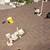 TRCORP ROOF REPAIRS - RE-ROOFING- ROOFING EXPERTS(915)307-5118 3 thumbnail