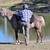 FOR ADOPTION - Heartland Equine Rescue -11yr Rocky Cross Pony 7 thumbnail