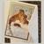 Notecard, Vintage 1985 National Wildlife Federation Otter Holiday Cards #13229 ( 3 thumbnail