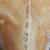 2 Super Rare Vintage Surfboards, Jack O'Neill and Rick Noe 8 thumbnail