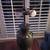 Antique Chinese Bronze Lamp 1 thumbnail