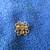 Rare Vintage Avon President's Club Jewelry Set Award 3 thumbnail