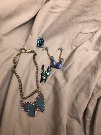 Butterfly blue 1