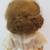 Vintage Ideal Shirley Temple Vinyl Doll, 1950s 17” 4 thumbnail