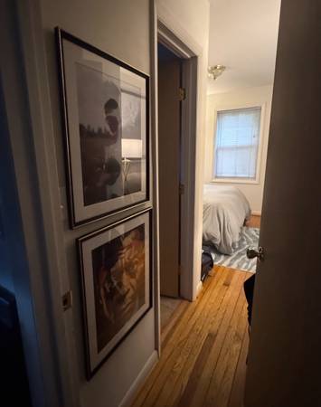 $20 / 1br - Reduced Nightly Rent for Shared Bedoom w/Gay M (Takoma Park)64040026647298121