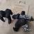 KING Kong toys 2 thumbnail