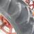 Farmall M 7 thumbnail
