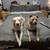 Looking for a Personal Assistant, Detailer, House Cleaning or Pet sitter? 7 thumbnail
