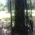 32” steel security door and accessories 1 thumbnail
