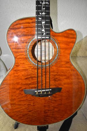 Limited Edition Takamine G-series Acoustic/Electric Bass Guitar 1