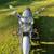 2008 Kawasaki Vulcan 900 Classic 7 thumbnail