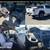 2023 Toyota Tacoma Access Cab TRD Sport- Lunar Rock - Lifted  Modified 19 thumbnail