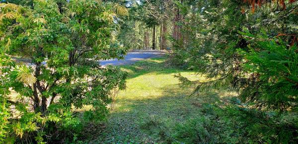 $349,500 / 3br - 1100ft2 - Retiro en la Montaña 2.6 Acres Con casa de 3/2 (Oakridge)63655058132481124
