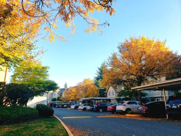 $2,030 / 2br - 1098ft2 - Heated Pool, Smoke Free, Fitness Center, Gated Community63995109516546121