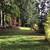 Fully furnished, one bedroom cottage, utilities included 5 thumbnail
