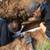 Plumbing Repairs,Plumber,Slab Leak,Water Heaters,Sewer & Drain Service 16 thumbnail