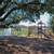 Dive into style! 2 BR, 2 BA, 1000 Sq Ft of space awaits! 18 thumbnail