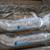 Online Only Auction, Constuction & Trucking Retirement, Tools & Equip 10 thumbnail