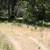 10.82 Acres in the Sierras - Seller Financing 3 thumbnail