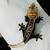 Rtb dark base female crested gecko 1 thumbnail