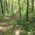 23 acre paradise for sale 8 thumbnail