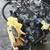 2006 F150 4.6 ENGINE 2 thumbnail