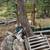 Jungle gym/swing/slide/climbing wall - kids 1 thumbnail