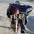 2014 Harley Davidson Trike 2 thumbnail
