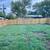 6 brand new homes being built in Nixon, Texas! 6 thumbnail