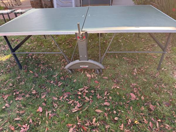 Ping pong table 1