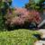Facebook Intel Bike to Google Tennis Views Adj/lovely Park pv1 7 thumbnail