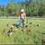 Rhode Island Red/White Leghorn Chickens 1 thumbnail